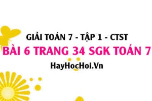 Giải bài 6 trang 34 Toán 7 Tập 1 SGK Chân trời sáng tạo